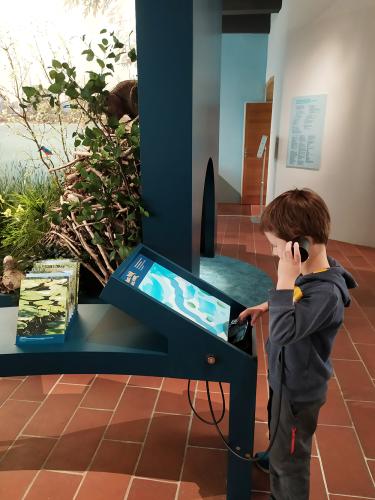 Visite de l'exposition Les Pieds dans l'eau, MHL-Gadagne