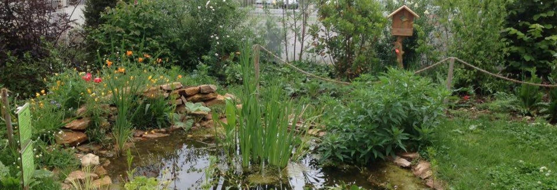 Un jardin dans le 8e arrondissement
