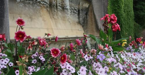 Balade urbaine, la nature à Fourvière - © Gadagne, 2019