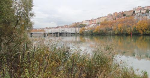 Vue des Berges du Rhône - © Terence O'Neill, 2014