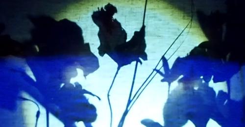 Spectacle Eri, Compagnie Les Écoutilles