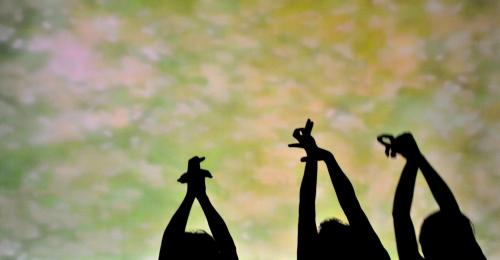 Shadow Play Theatre KAKASHIZA