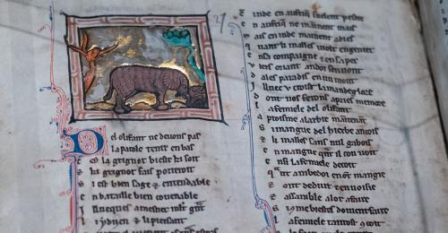 Exposition Merveilleux Moyen Âge