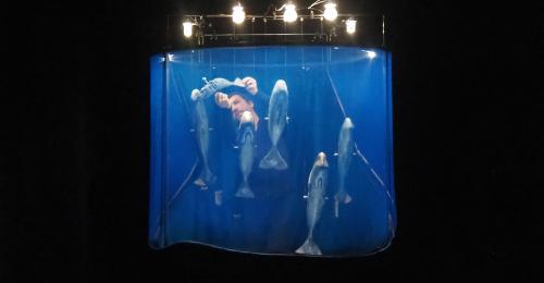 Spectacle Les acrobates, Compagnie Arnica
